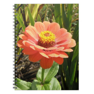 Orange Zinnia Blume Notebook Notizblock