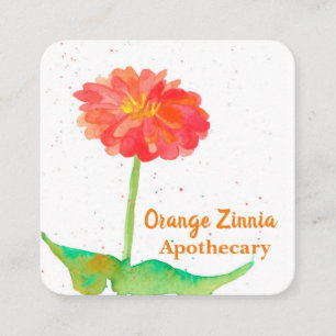 Orange Zinnia Blume Quadratische Visitenkarte