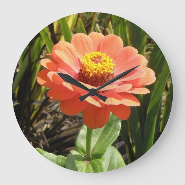 Orange Zinnia Blume Wall Clock Große Wanduhr (Vorderseite)