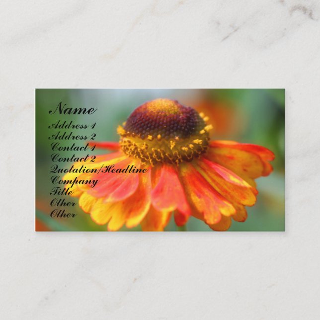 Orange Zinnia Flower Fotografy Business Card Visitenkarte (Vorderseite)
