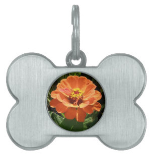 Orange Zinnia Pet Tag Tiermarke