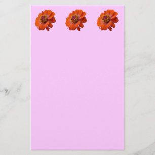 Orange Zinnia Wildblume Natur Flora Briefpapier