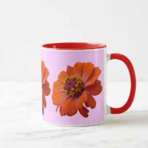 Orange Zinnia Wildblume Natur Flora Tasse