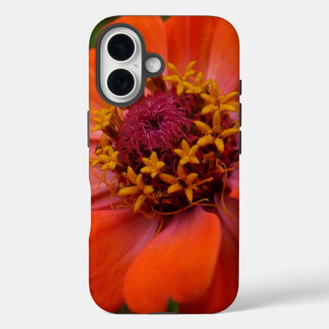 Orange Zinnia Wildflower Nature Floral Case-Mate iPhone Hülle (Rückseite)