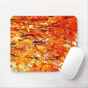 Orangefarbene Ahorn-Blätter im Herbstmousepad Mousepad