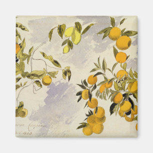 Orangefarbene Bäume, 1863 (w/c, Stift und Tinte üb Magnet