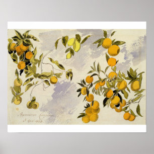 Orangefarbene Bäume, 1863 (w/c, Stift und Tinte üb Poster