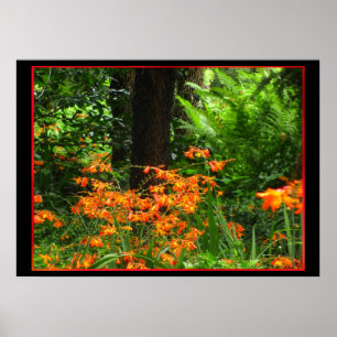 Orangefarbene Blume im Wald Poster