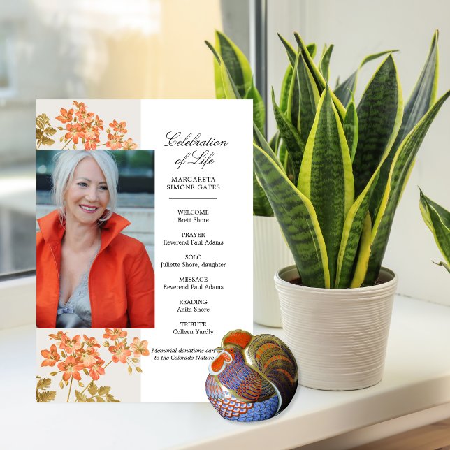 Orangefarbene Blume - Lebensflachprogramm Programm (Von Creator hochgeladen)