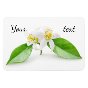 Orangefarbene Blume Magnet