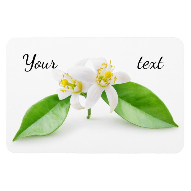 Orangefarbene Blume Magnet (Horizontal)