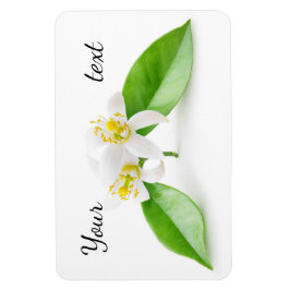 Orangefarbene Blume Magnet