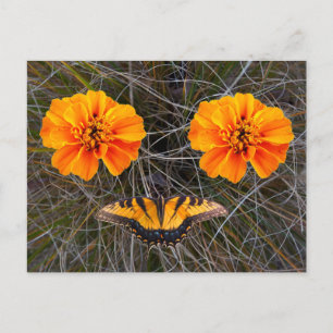 Orangefarbene Blume und Gelber Schmetterling Feiertagspostkarte