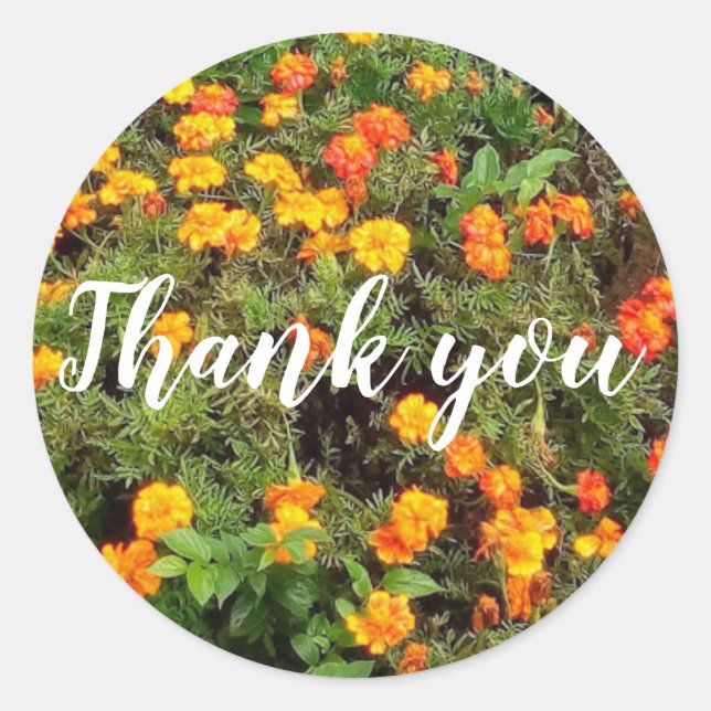 Orangefarbene botanische Blume danke Runder Aufkleber (Vorderseite)