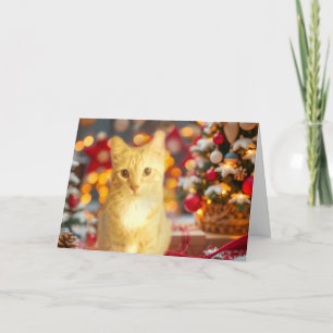 Orangefarbene Ginger-Katze Weihnachten süß