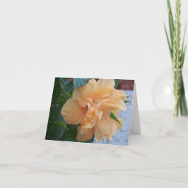 Orangefarbene Hibisken-Blume auf einer leeren Inne Karte