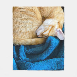 Orangefarbene Katze auf blauer Decke aufgerollt
