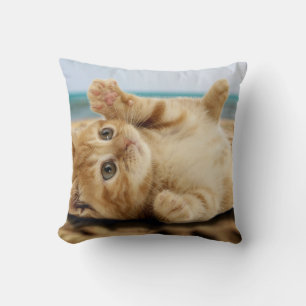 Orangefarbene Katze auf dem Sand Kissen