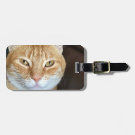 Orangefarbene Katze Gepäckanhänger