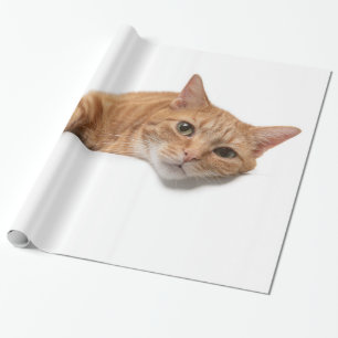 Orangefarbene Katze Geschenkpapier