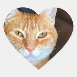 Orangefarbene Katze Herz-Aufkleber