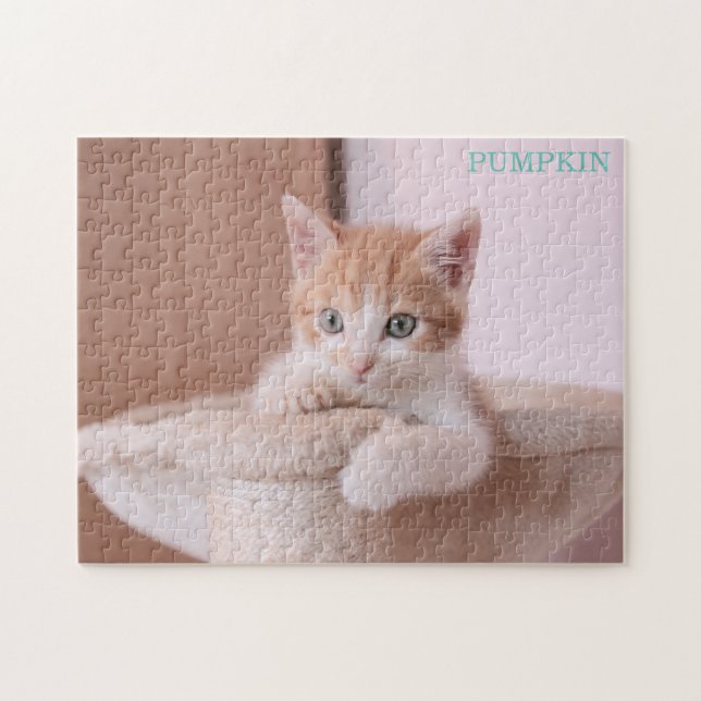 Orangefarbene Katze in Katzenbaum /Orange Kitten Puzzle (Horizontal)