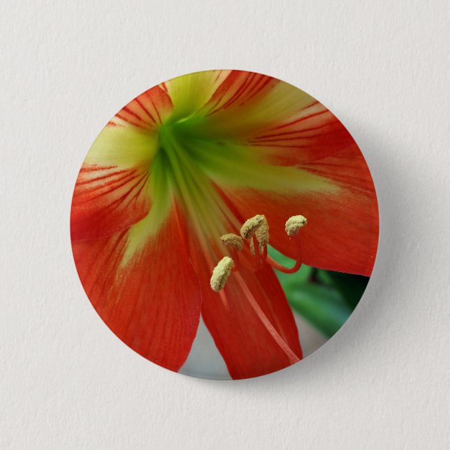 orangefarbene Lilie Button (Vorderseite)