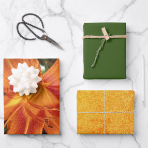 Orangefarbene Lilienblumen-Foto mit festem grünem  Geschenkpapier Set