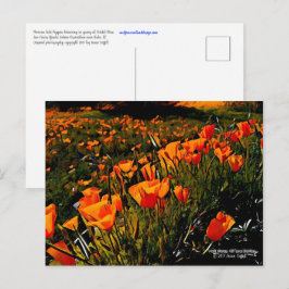 Orangefarbene mexikanische Goldpuppen blühen im Fr Postkarte