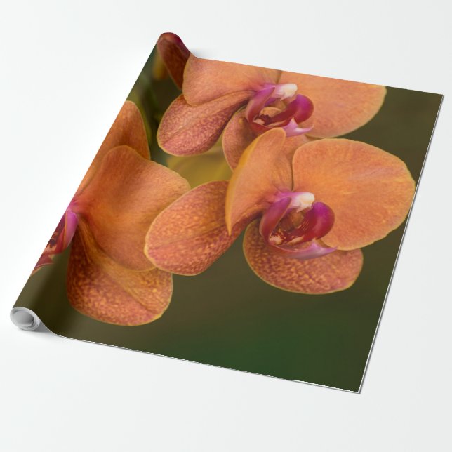 Orangefarbene Orchideen-Blume Geschenkpapier (Ungerollt)