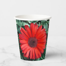 Orangefarbene Papierbecher