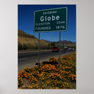 Orangefarbene Pflaumen in Globe Arizona Poster