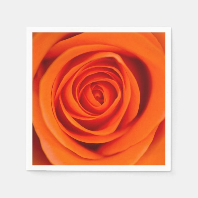 Orangefarbene Rose Blume Cocktailpapier Serviette (Vorderseite)