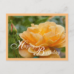 Orangefarbene Rose Postkarte