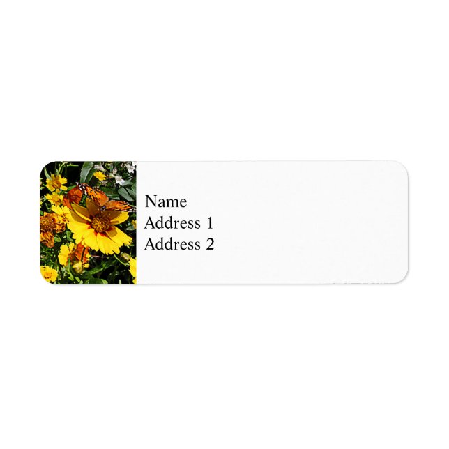 Orangefarbene Schmetterlinge auf Gelber Coreopsis (Vorne)