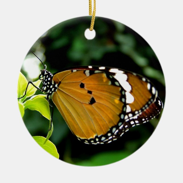 Orangefarbene, schwarze und weiße Schmetterlinge a Keramikornament (Vorne)