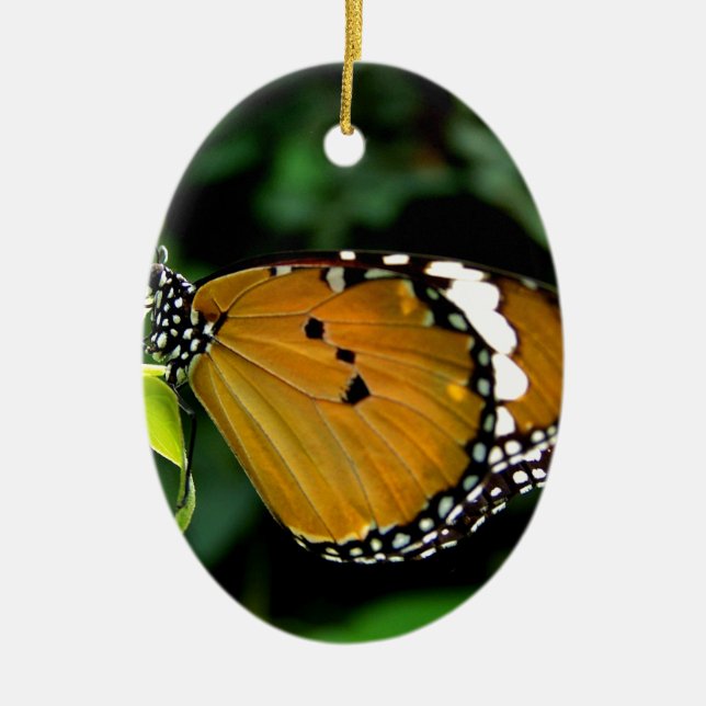 Orangefarbene, schwarze und weiße Schmetterlinge a Keramikornament (Vorne)