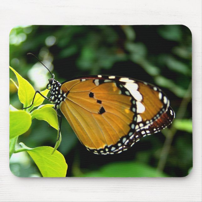 Orangefarbene, schwarze und weiße Schmetterlinge a Mousepad (Vorne)