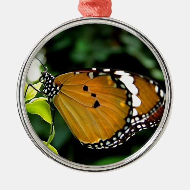 Orangefarbene, schwarze und weiße Schmetterlinge a Ornament Aus Metall (Vorne)