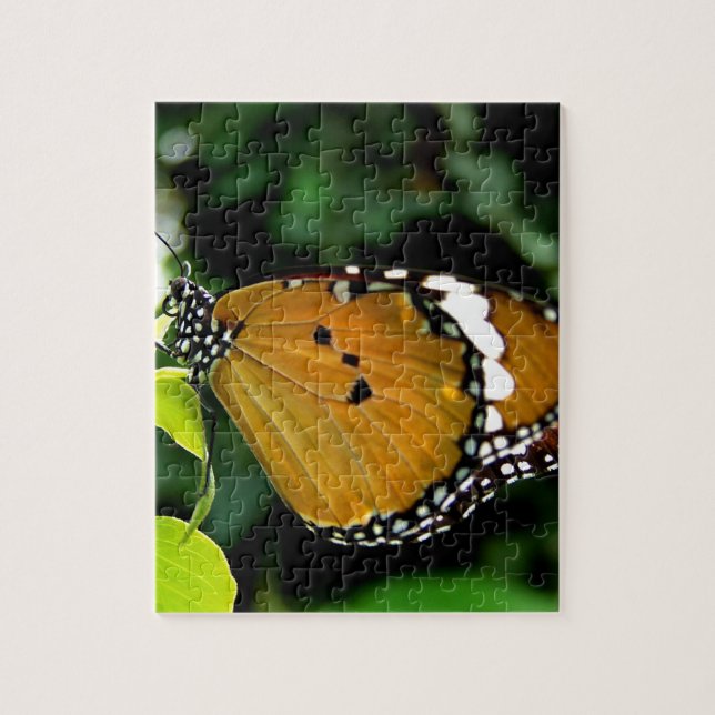 Orangefarbene, schwarze und weiße Schmetterlinge a Puzzle (Vertikal)