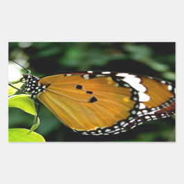 Orangefarbene, schwarze und weiße Schmetterlinge a Rechteckiger Aufkleber