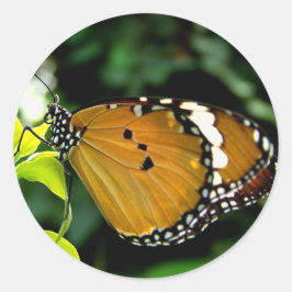 Orangefarbene, schwarze und weiße Schmetterlinge a Runder Aufkleber