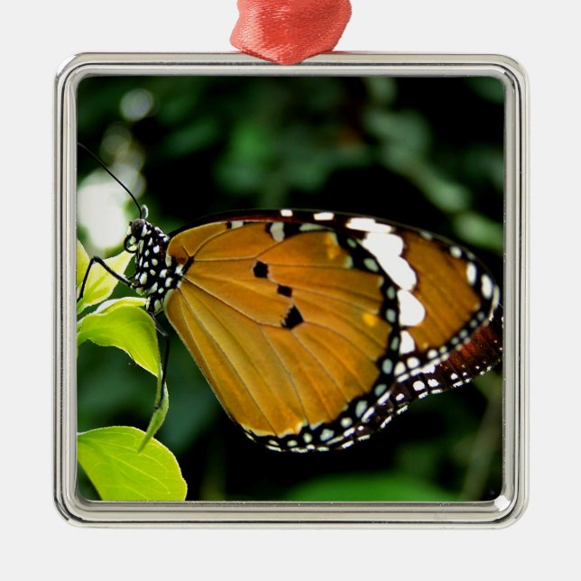 Orangefarbene, schwarze und weiße Schmetterlinge a Silbernes Ornament (Vorne)