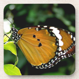 Orangefarbene, schwarze und weiße Schmetterlinge a Untersetzer