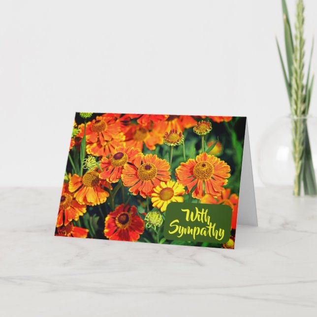 Orangefarbene Sneezekraut-Blume Foto mit Beileid Karte (Vorderseite)