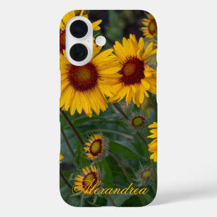 Orangefarbene Sonnenblumen - helle Sommerfotografi iPhone 16 Hülle