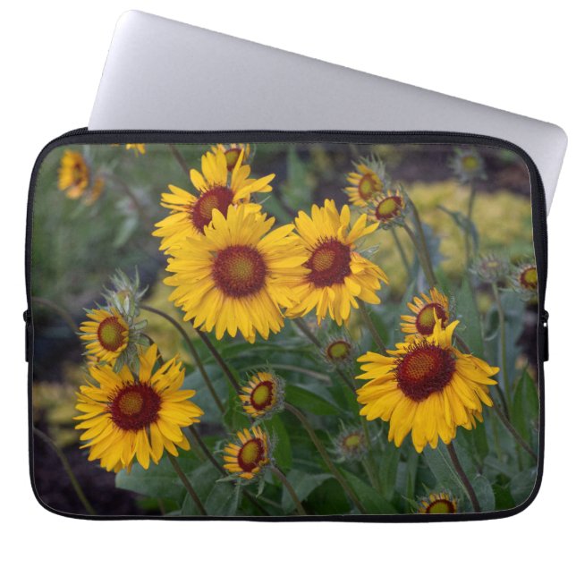 Orangefarbene Sonnenblumen, helles Sommerblumengeb Laptopschutzhülle (Vorderseite)
