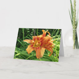 Orangefarbene Taglilie Blume Horizontal Karte