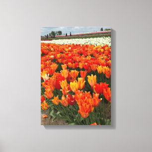 Orangefarbene Tulips im Feld, Waldbrand, OR Leinwanddruck