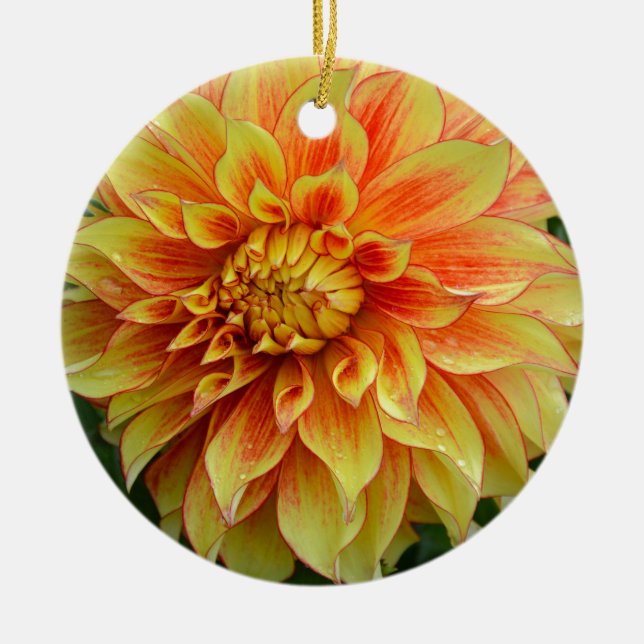 Orangefarbene und gelbe Dahlien-Blume Keramikornament (Vorne)